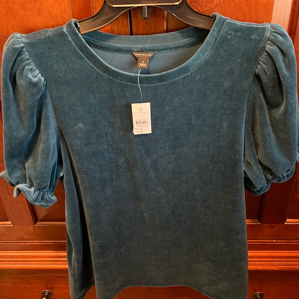 NWT Beautiful Ann Taylor Puff Sleeve Top!